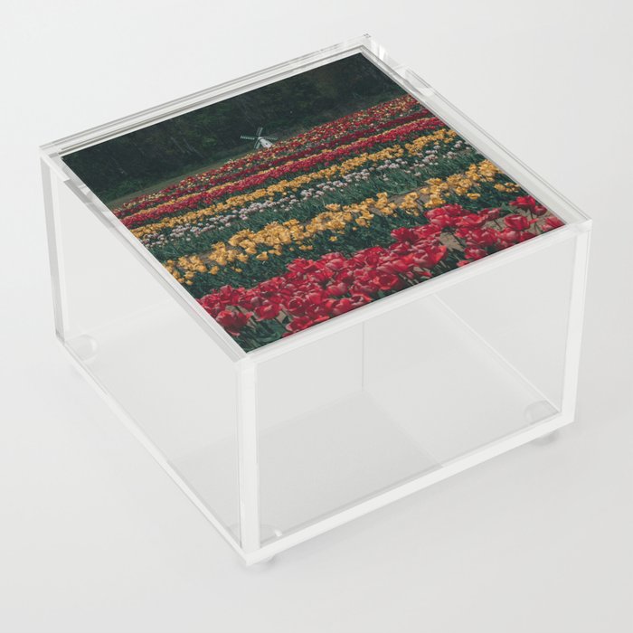 Tulip Town Acrylic Box