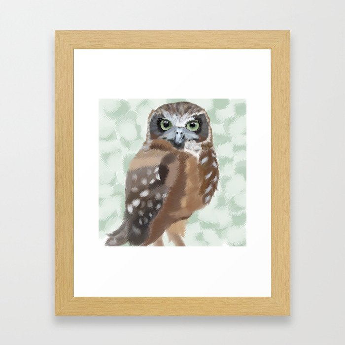 Green Eyed Owl Framed Art Print