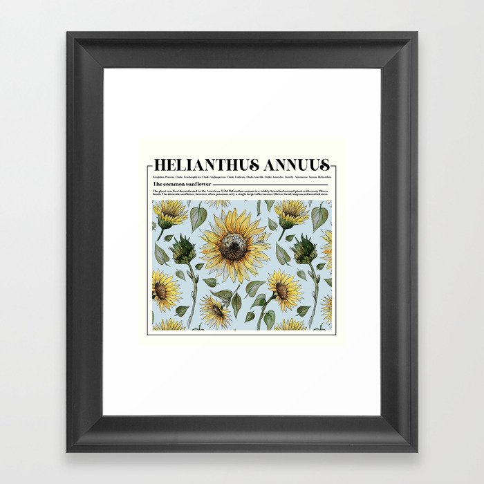 Sunflower Flower Scientific Info Art Print Framed Art Print