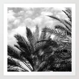 Vintage Palm Trees Floating in Tropical Clouds Art Print
