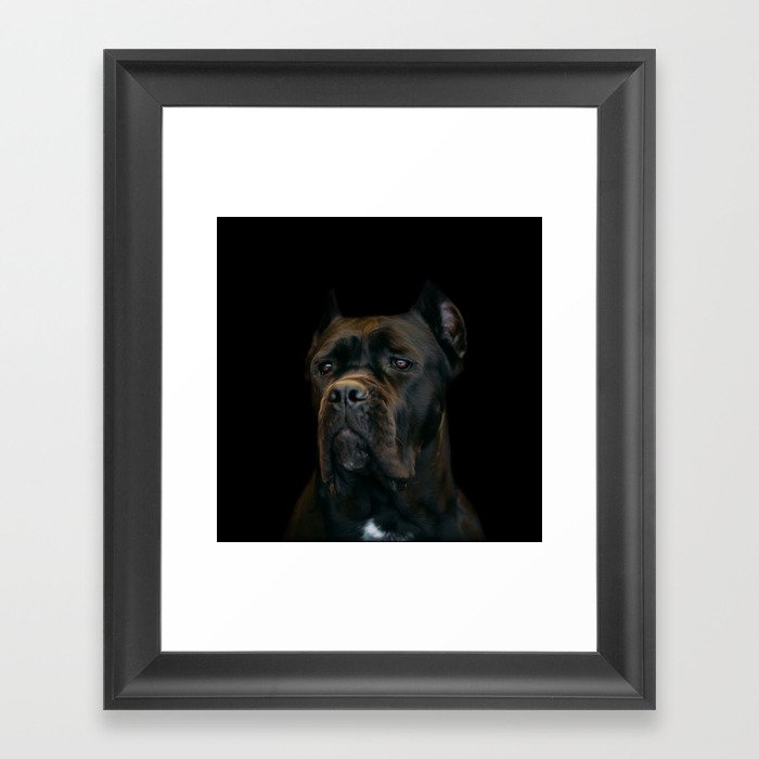 Cane Corso Italian Mastiff Framed Art Print By K9printart