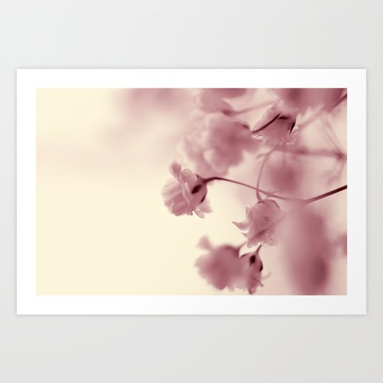 baby's breath Art Print