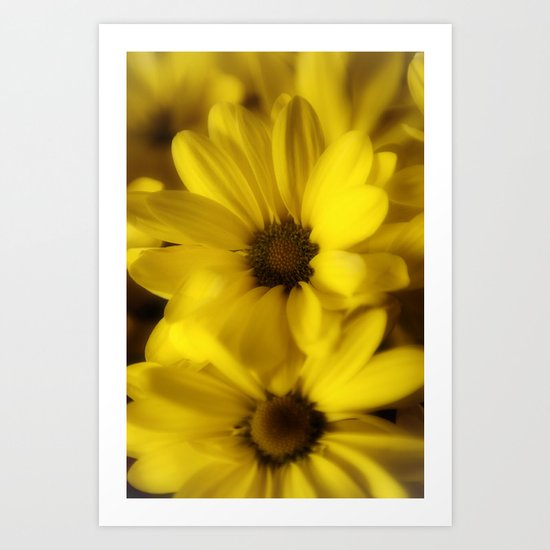 Sunshine Petals Art Print
