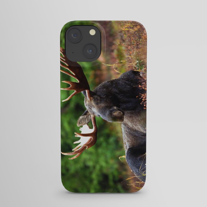 Relax Moose iPhone Case