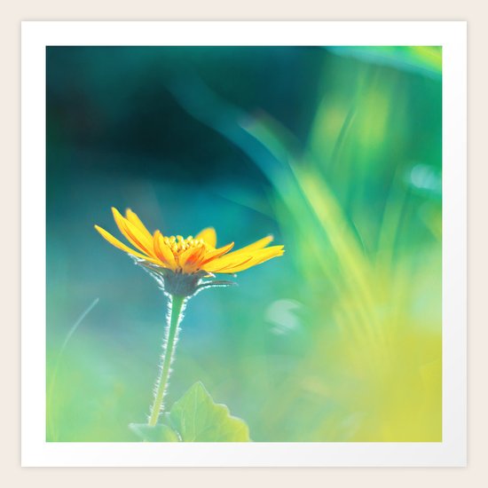Daydreaming Art Print