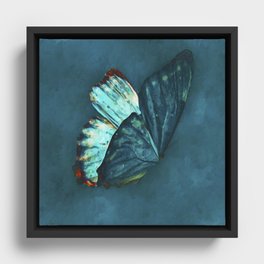 I dreamt I was a Butterfly Framed Canvas