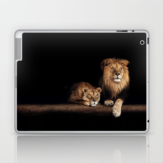 Portrait of Lion Family on dark background - vintage nature photo Laptop & iPad Skin