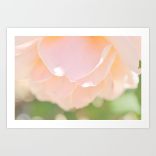 Petal Soft Art Print