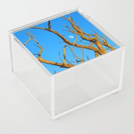 Moon Branches Acrylic Box