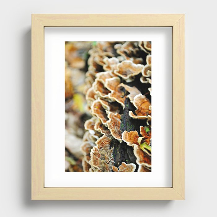 Layer Upon Layer Recessed Framed Print