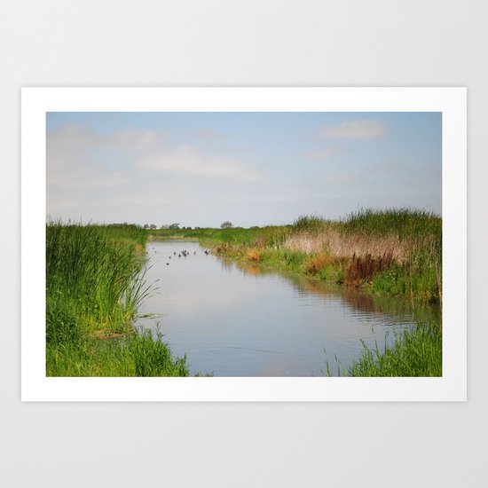 Ducks in the Creek Art Print