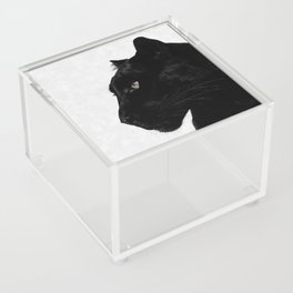 Black Panther Acrylic Box