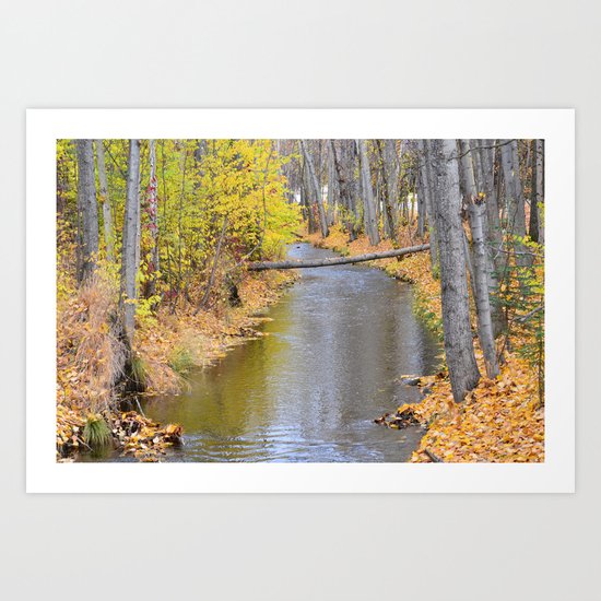 Autumn Stream II Art Print