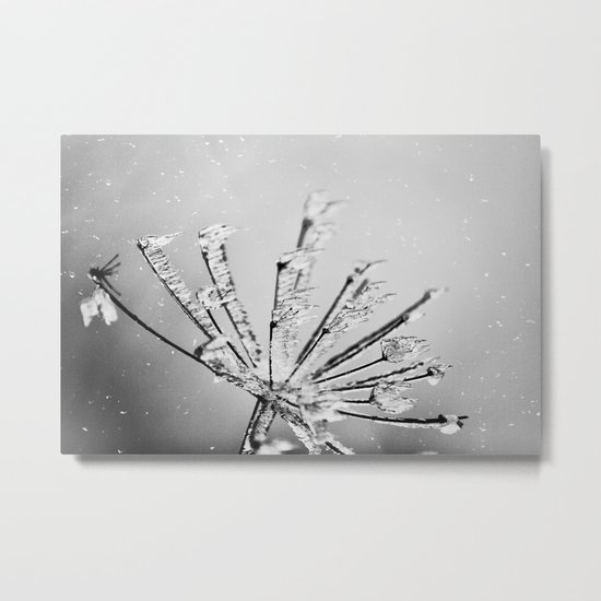 Winter Metal Print