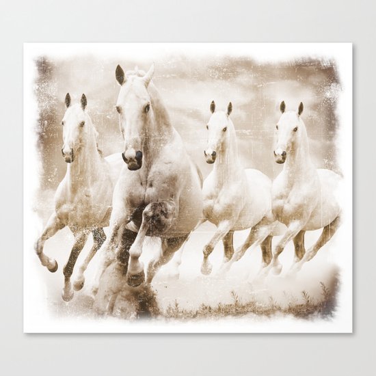Horses Canvas Print