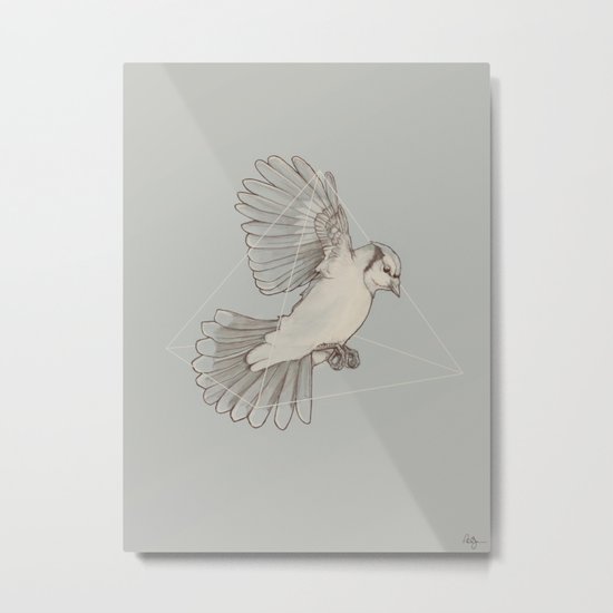Dynamics of Flight Metal Print
