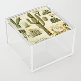 Naturalist Cacti Acrylic Box