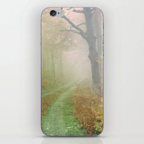 Autumn Road iPhone & iPod Skin