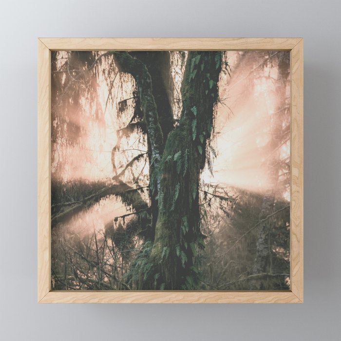 Rainforest Revelation Framed Mini Art Print