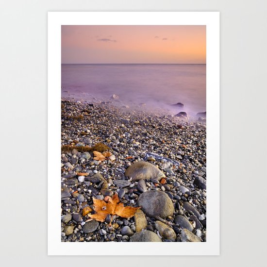 Dried leaves at the sea sunset Art Print