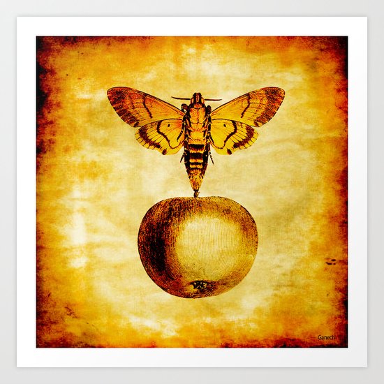 The butterfly and the golden apple Art Print