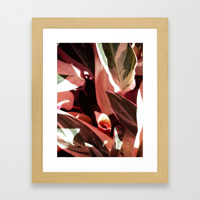 Colorful Foliage Framed Art Print