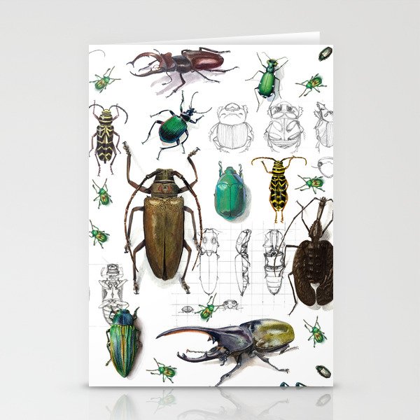 Beautiful Beetles Stationery Cards