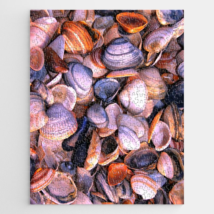 seashell shells Jigsaw Puzzle