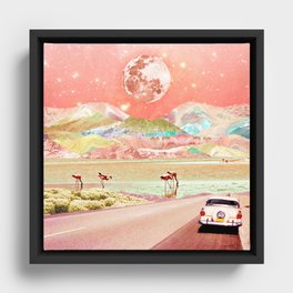 Flamingo road Framed Canvas