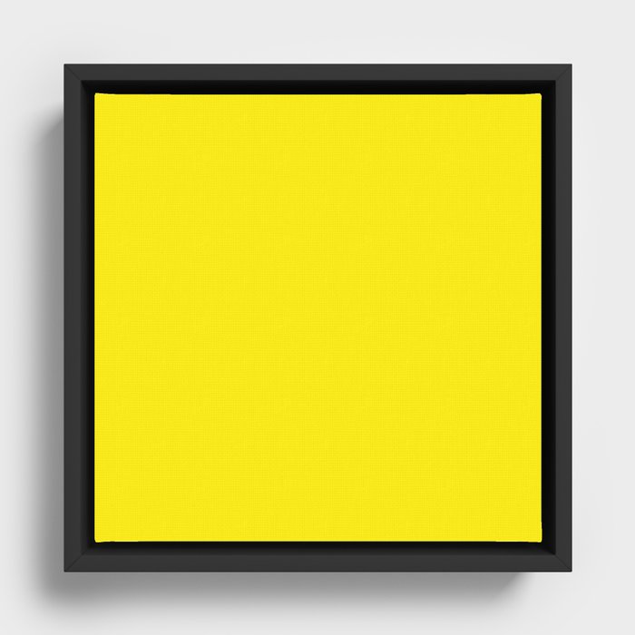 Framed Canvas