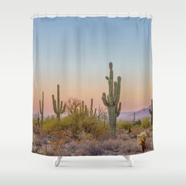 Desert / Scottsdale, Arizona Shower Curtain