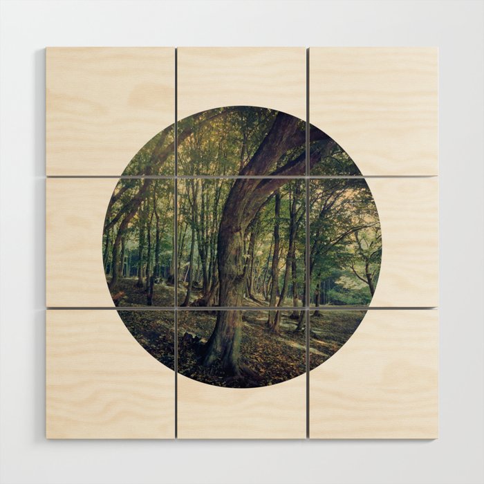 Conforting green deciduous forest landscape Wood Wall Art