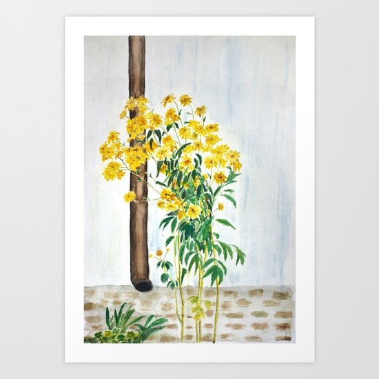 sun choke flowers outside a house Art Print