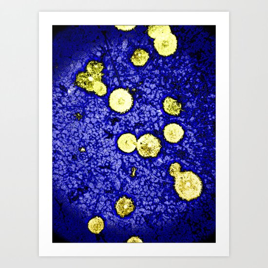 Symphony of Night Art Print