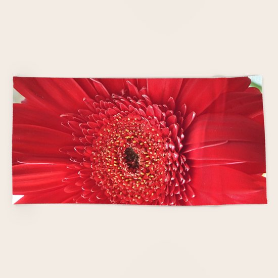 Red Dahlia Beach Towel