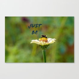 Just Be on a Zinnia Canvas Print