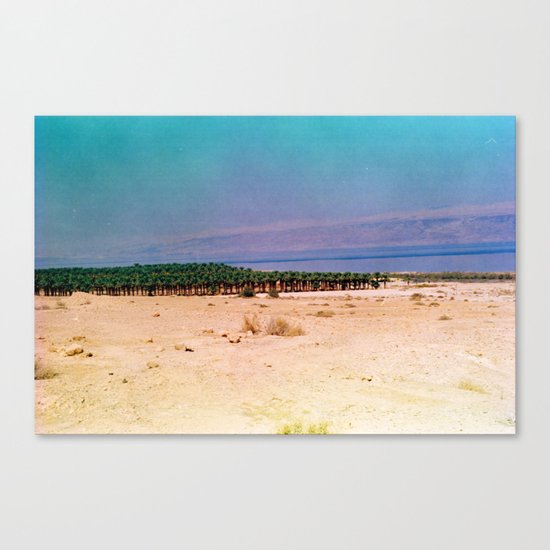Dreamy Dead Sea III Canvas Print