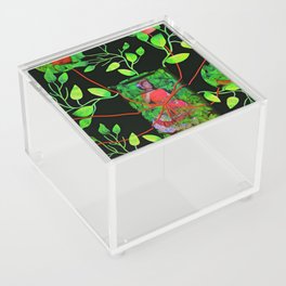 Frida Kahlo Acrylic Box