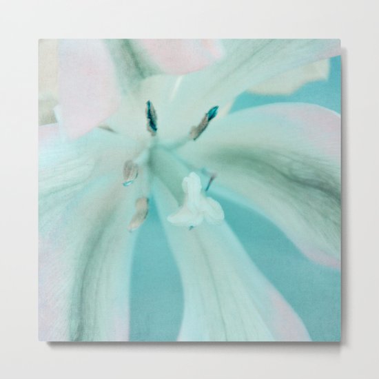 sweet tulip Metal Print