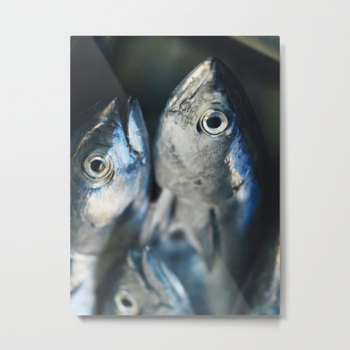 Tuna Fish Still Life Fine Art Photo Print High Quality Macro Interior Design Wall Decor Metal