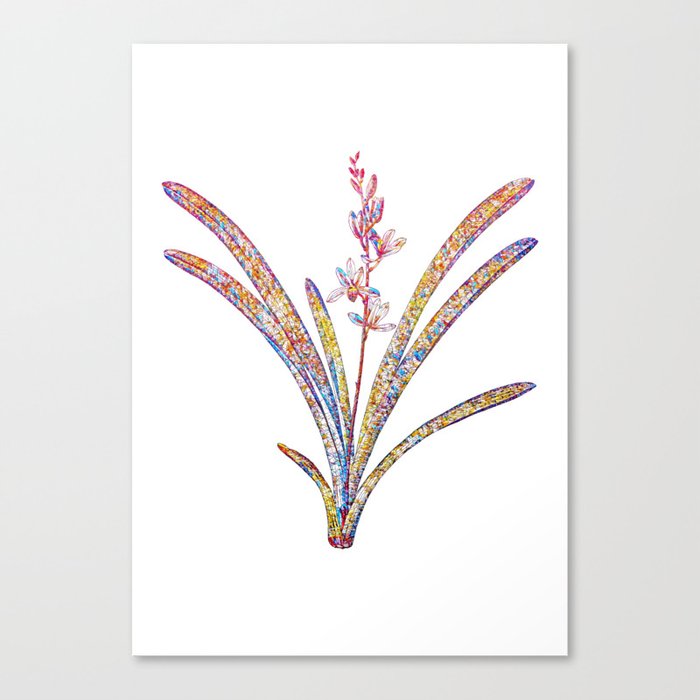 Floral Boat Orchid Mosaic on White Canvas Print