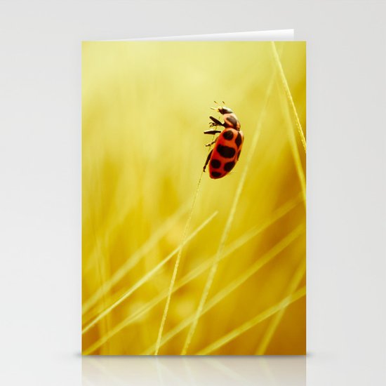 to the wind. Stationery Cards