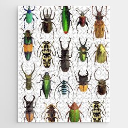 Beetles Collage Jigsaw Puzzle