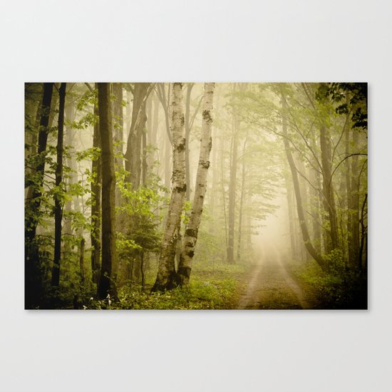 The Road Canvas Print