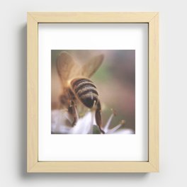 Bee-hind Recessed Framed Print