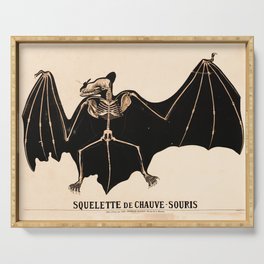 Vintage French zoological board - Bat skeleton Serving Tray