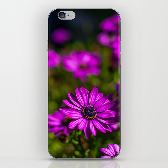 Purple flowers iPhone Skin