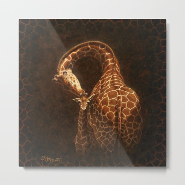 Reticulated Giraffe Mother and Baby Metal Print