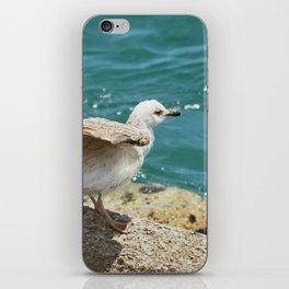Seagull spreading wings by the Tyrrhenian sea | Amalfi coast, Italy iPhone Skin