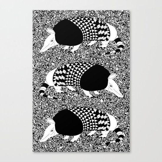Static Armadillo Canvas Print